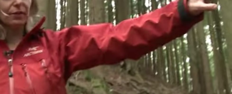 Screenshot 2020-04-03 at 13.53.46 copy