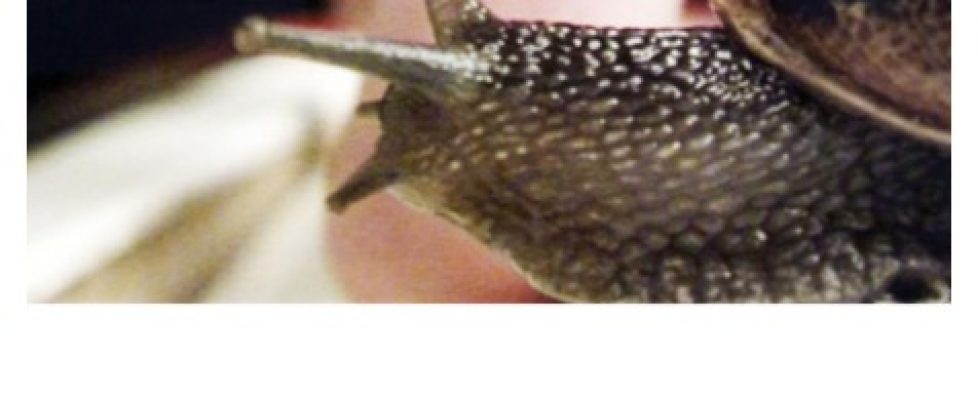 Screenshot 2020-04-07 at 21.52.01