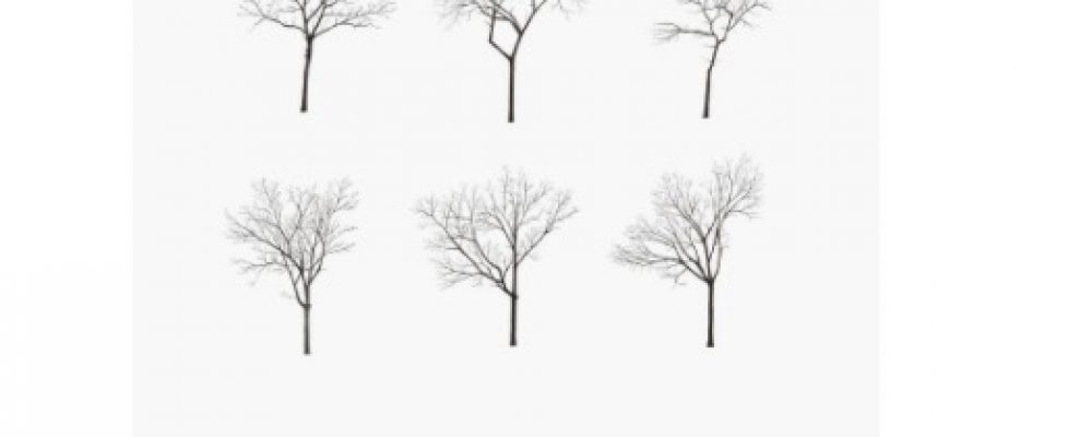 Screenshot 2020-04-07 at 21.53.04