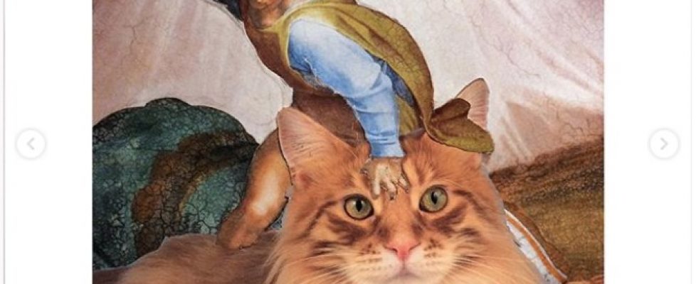 Screenshot 2020-04-21 at 08.00.11