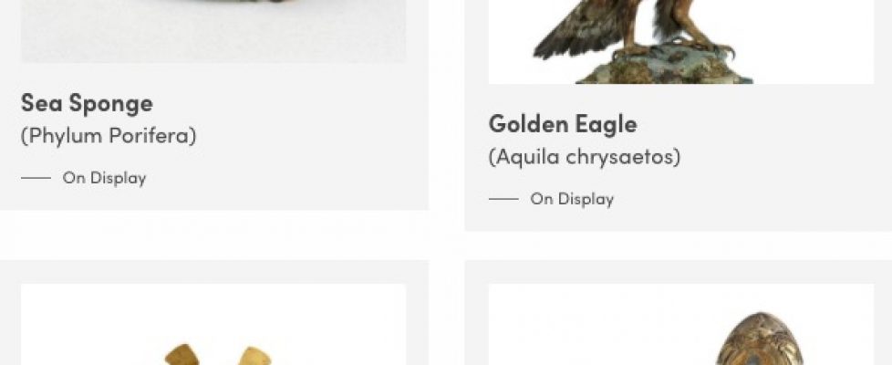 Screenshot 2020-04-26 at 07.46.28