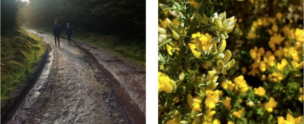 Screenshot 2020-04-29 at 21.20.50