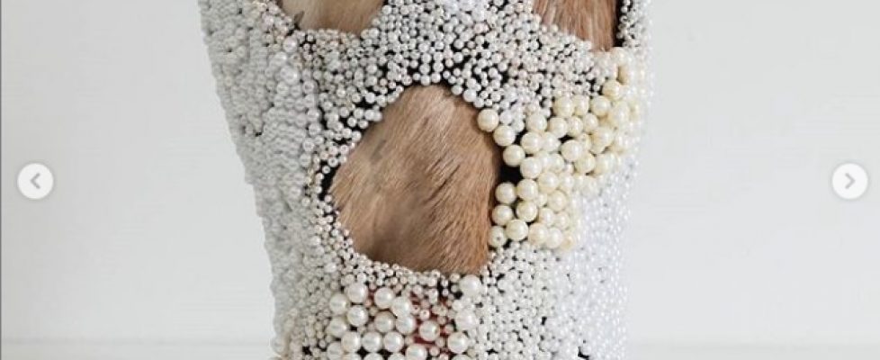 Screenshot 2020-06-18 at 07.24.05