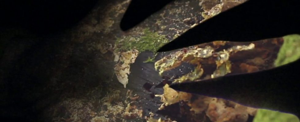 staying-home-and-staying-together-4-1280x468