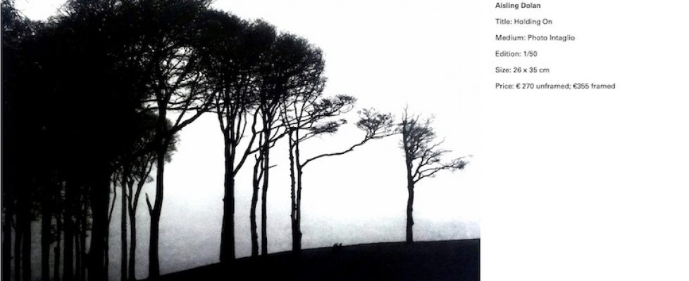 Screenshot 2020-05-09 at 08.01.47