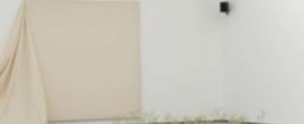 Screenshot 2020-05-16 at 16.54.54