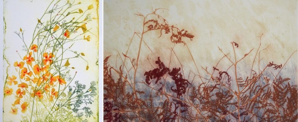 Screenshot 2020-05-20 at 10.27.33