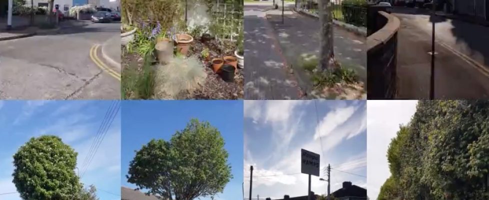 Screenshot 2020-05-20 at 20.00.03