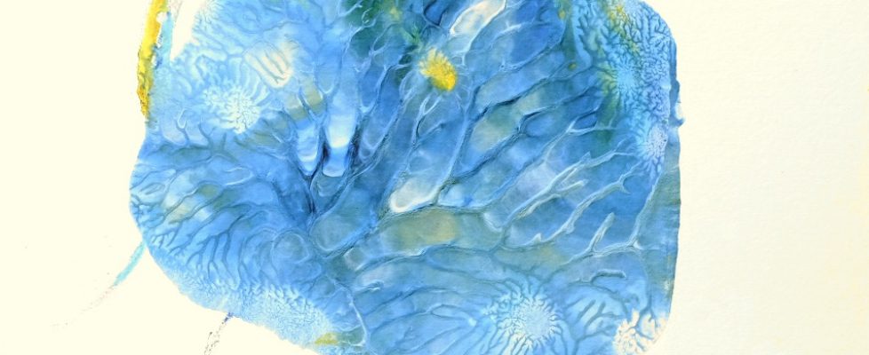 Screenshot 2020-05-23 at 11.12.28