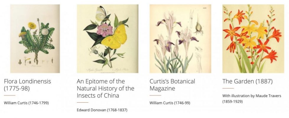 Screenshot 2020-05-31 at 10.49.50