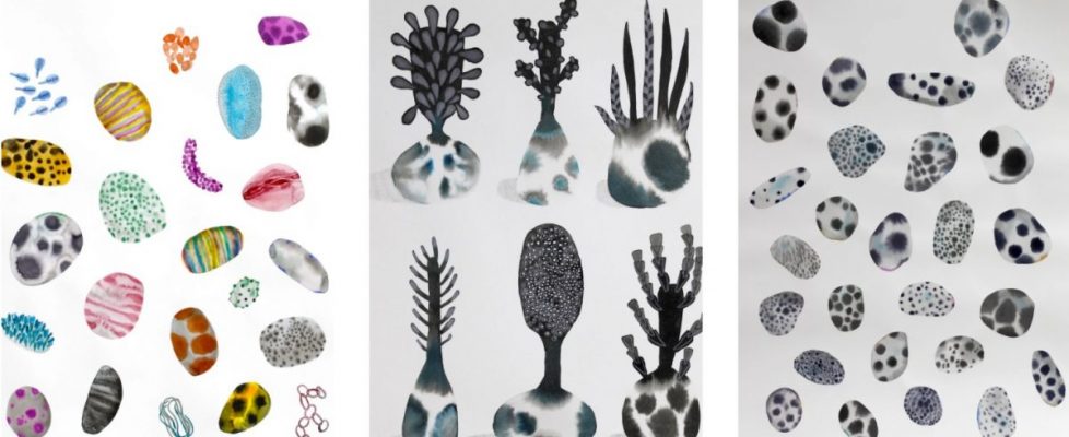 Vanessa Donoso Lopez