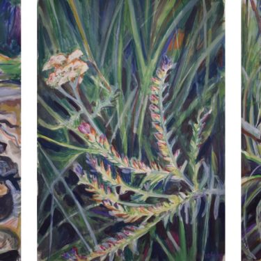 Cecilia Danell: The Lockdown Notebook |  Kevin Kavanagh 
Chancery Lane Dublin 8 | Wednesday 20 May to Tuesday 2 June 2020 | to 