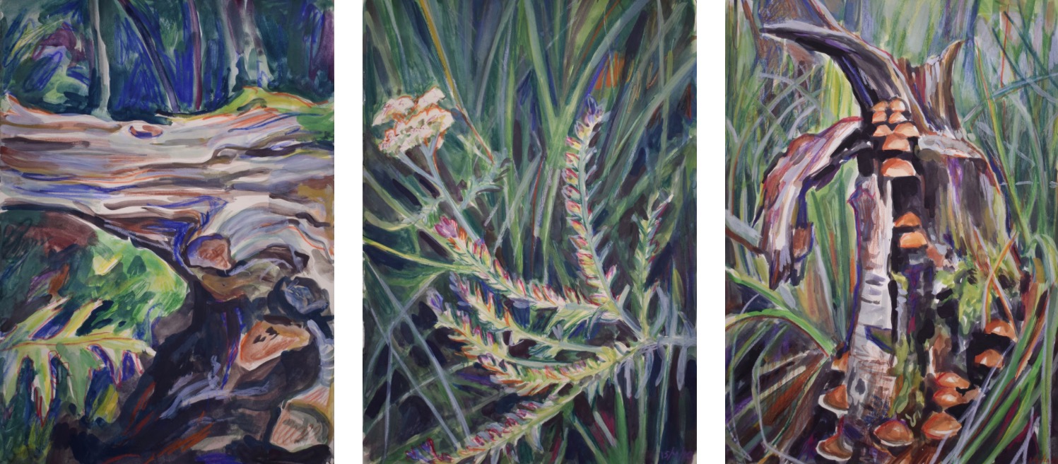 Cecilia Danell: The Lockdown Notebook | Wednesday 20 May  – Tuesday 2 June 2020 | Kevin Kavanagh