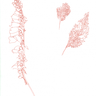 Christine Mackey: Safe-Hold: Online Viewing Room |  Wexford Arts Centre 
Cornmarket, Wexford | Saturday 22 February to Tuesday 30 June 2020 | to 