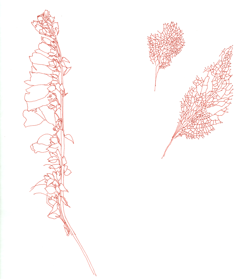 Christine Mackey: Safe-Hold: Online Viewing Room | from Saturday 22 February  | Wexford Arts Centre