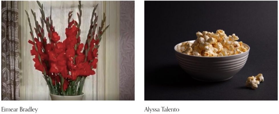 Screenshot 2020-06-06 at 10.53.11