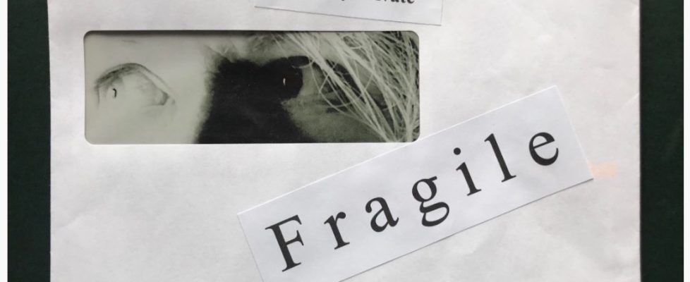 Screenshot 2020-06-17 at 07.29.48