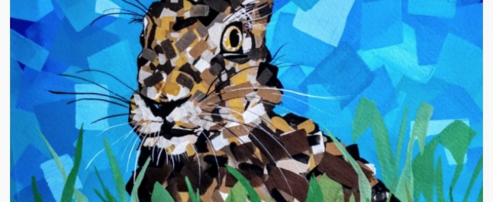 Screenshot 2020-06-17 at 07.32.11