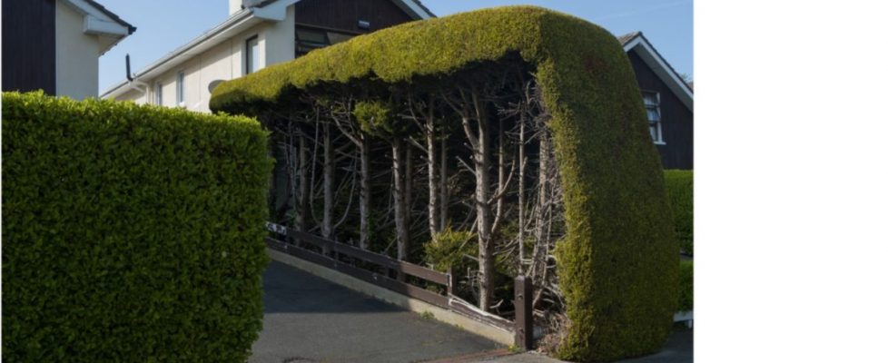 Screenshot 2020-06-21 at 20.34.44