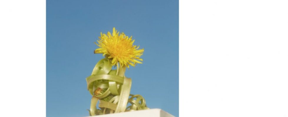 Screenshot 2020-06-21 at 20.36.30