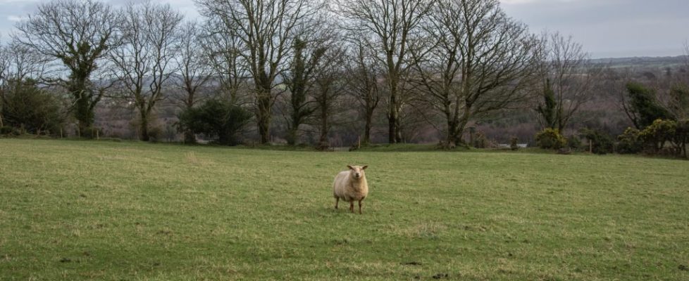 YvonneHayes_8-of-8-1024x655