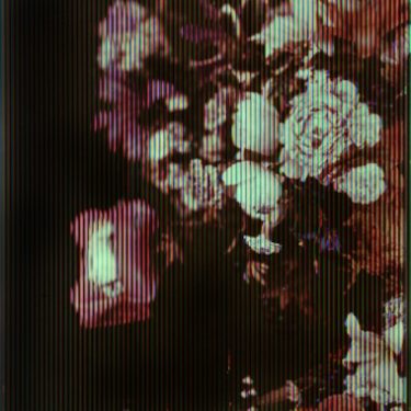 Alan Phelan: Folly & Diction |  Royal Hibernian Academy 
15 Ely Place, Dublin 2 | Friday 14 February to Sunday 2 August 2020 | to 