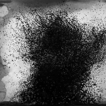 Austin McQuinn: Hypercarbon |  The Source Arts Centre 
Thurles Co Tipperary | Saturday 12 September to Saturday 17 October 2020 | to 