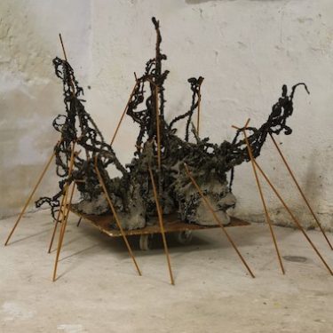 Debbie Godsell, Fiona Kelly, Sarah O’Flaherty: Visions of an Unsettled Earth |  SIRIUS 
The Old Yacht Club Cobh, Co. Cork | Thursday 6 August to Saturday 31 October 2020 | to 