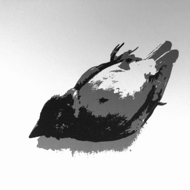 Monika Crowley: Compartmentalisation |  Curiosity Cabinet Black Church Print Studio 4 Temple Bar, Dublin 2 | Saturday 1 August to Monday 31 August 2020 | to 