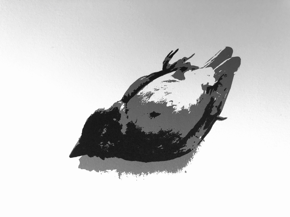 Monika Crowley: Compartmentalisation | during August 2020  | 