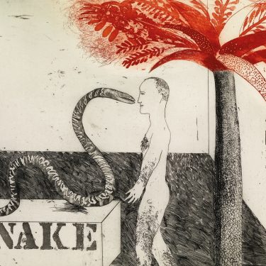 Living with art: Picasso to Celmins |  F.E. McWilliam Gallery 
200 Newry Road Banbridge County Down | Friday 11 December 2020 to Saturday 30 January 2021 | to 