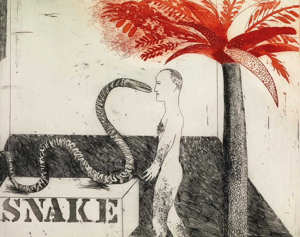 David Hockney (b. 1937) Jungle Boy, 1964, etching and aquatint in black and red on mould-made paper; © David Hockney; photo Richard Schmidt | Living with art: Picasso to Celmins | Friday 11 December 2020  – Saturday 30 January 2021 | F.E. McWilliam Gallery