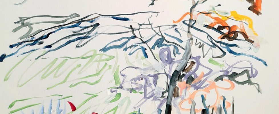 Anastasia+O+Donoghue+Healy