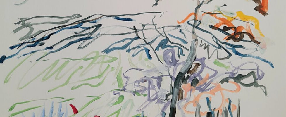 Anastasia+O+Donoghue+Healy