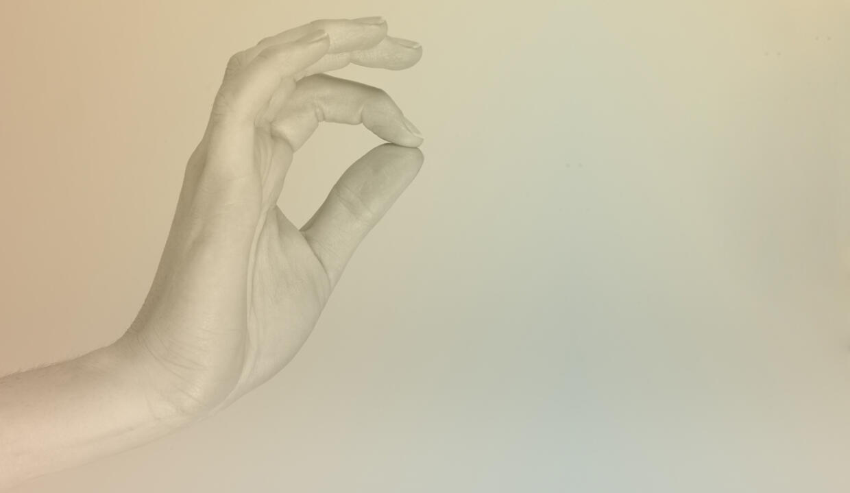 We are solitary. NCAD MFA Show 2020 | Friday 20 November  – Saturday 28 November 2020 | Rua Red