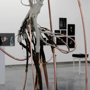 Winter Open ‘Hindsight is 20/20’ |  Rua Red 
South Dublin Arts Centre Tallaght, Dublin 24 | Friday 11 December 2020 to Friday 22 January 2021 | to 