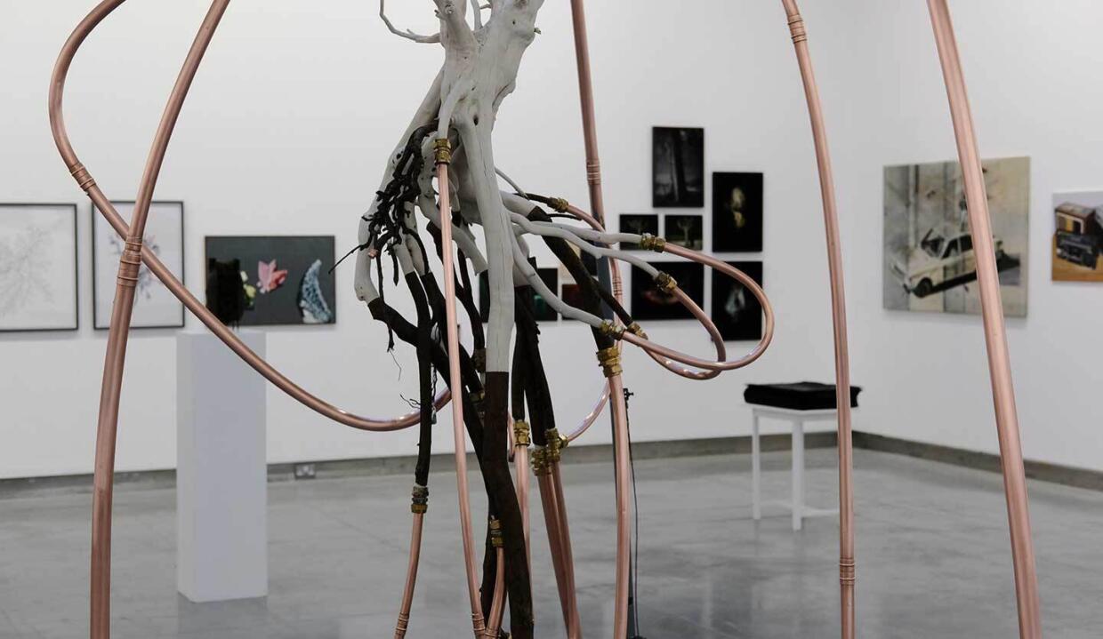 Winter Open Exhibition, 2019 | Winter Open ‘Hindsight is 20/20’ | Friday 11 December 2020  – Friday 22 January 2021 | Rua Red