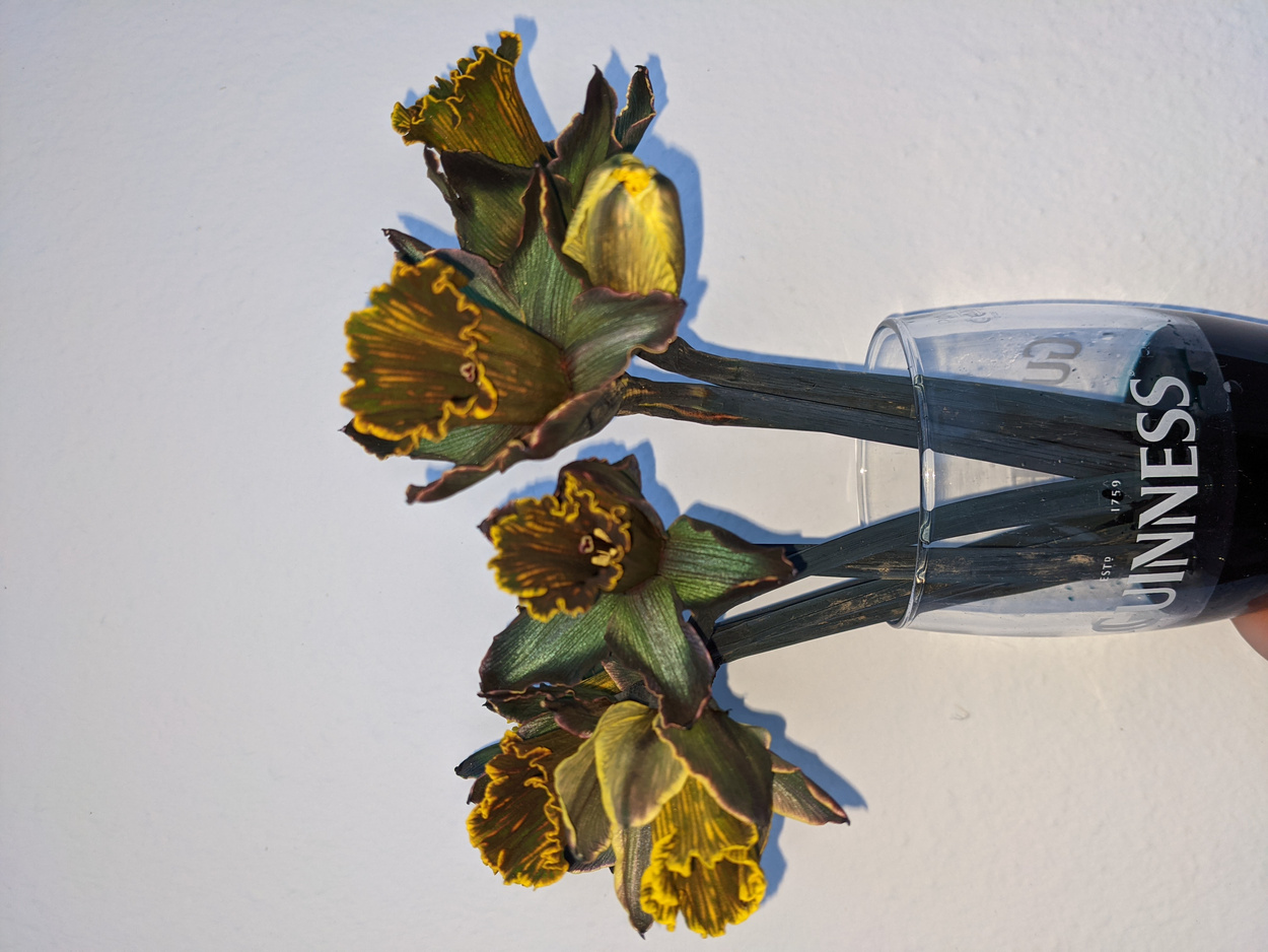 Jennifer Mehigan: Uillinn (Virtual) Residency | February – April 2021  | Uillinn: West Cork Arts Centre