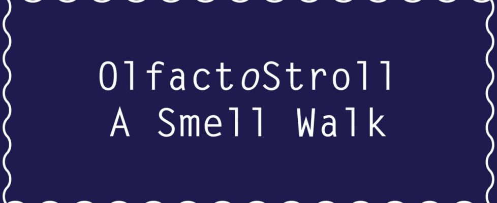 olfactory stroll 0