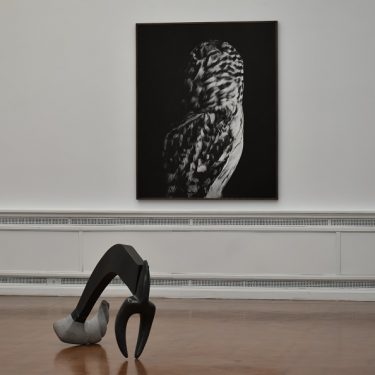 Cows are mostly silent: Selections from the Permanent Collection by Adam Stoneman |  Limerick City Gallery 
Pery Square, Limerick | Friday 26 February to Sunday 27 June 2021 | to 