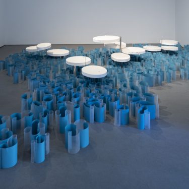 Maud Cotter: a consequence of – a dappled world |  Hugh Lane Gallery 
Parnell Square North Dublin 1  | Wednesday 2 June to Sunday 8 August 2021 | to 