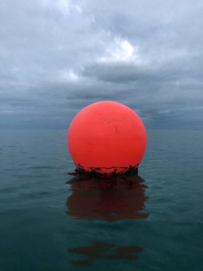 Paul Moore: Fionnghlas | Tuesday 25 May  – Saturday 29 May 2021 | Golden Thread Gallery