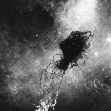 Standstill |  Uillinn: West Cork Arts Centre 
Skibbereen, Co Cork | Friday 4 June to Saturday 10 July 2021 | to 