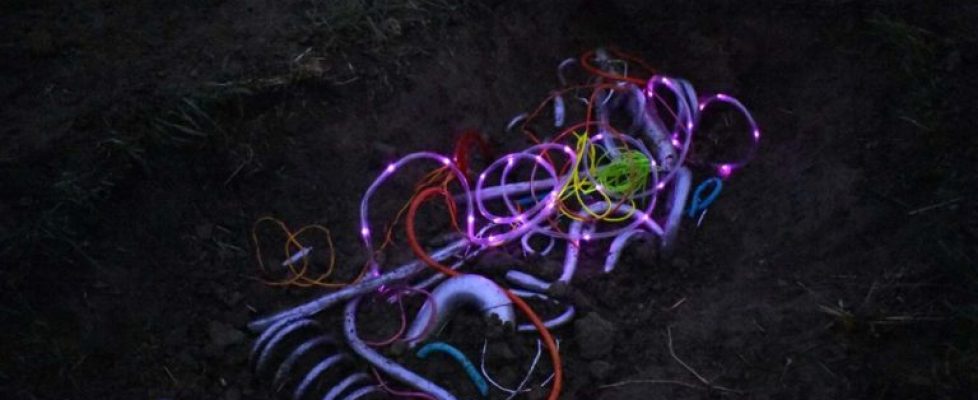 Clean-Wired-2020-Resized_1340