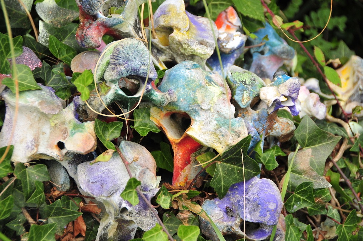 Joan Davis: Garden as Gallery, Gallery as Garden | Friday 2 July  – Saturday 31 July 2021 | Mermaid Arts Centre