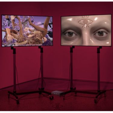 Elaine Hoey: Flesh and Tongue |  GOMA Gallery of Modern Art 
6 Lombard Street Waterford | Tuesday 8 June to Thursday 1 July 2021 | to 