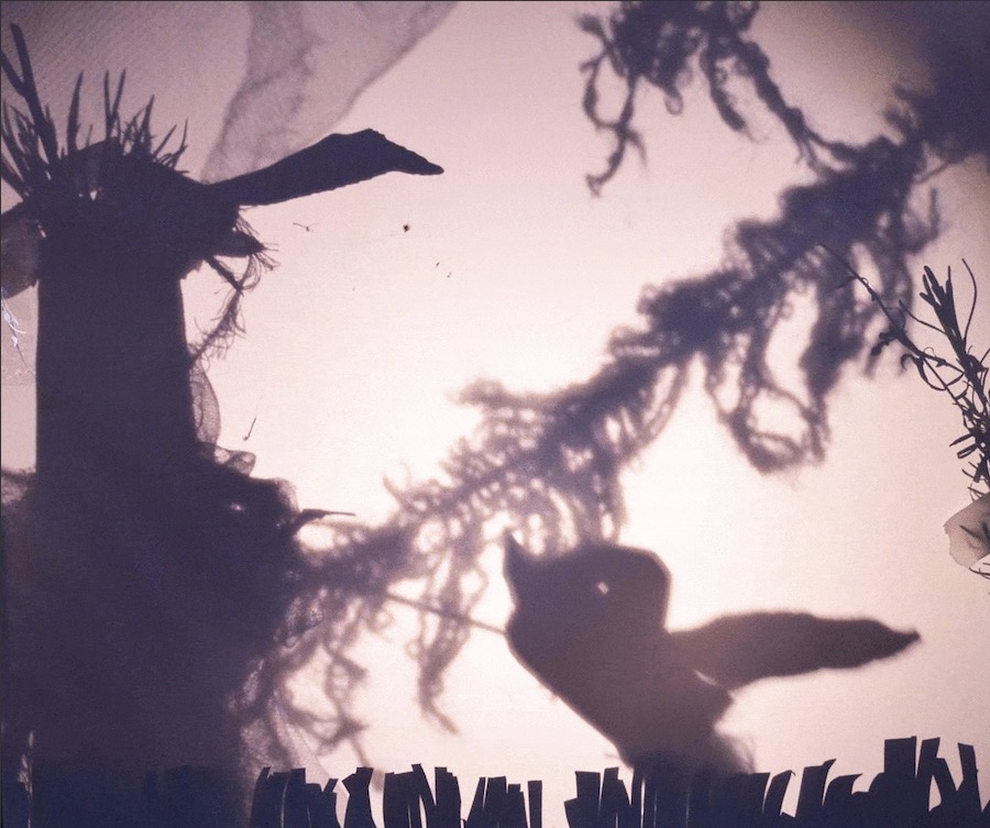 Living Arts Project Exhibition 2021 | from Thursday 24 June 2021  | Wexford Arts Centre