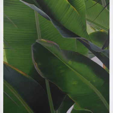 Marcel Vidal: Stuck on dawn |  Kerlin Gallery 
Anne's Lane South Anne Street, Dublin 2 | Saturday 17 July to Thursday 26 August 2021 | to 