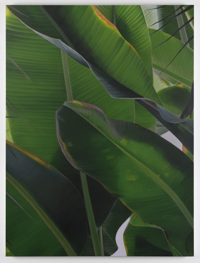 Marcel Vidal, Banana VI, 2021, oil on linen, 160 x 120 cm / 63 x 47.2 in | Marcel Vidal: Stuck on dawn | Saturday 17 July  – Thursday 26 August 2021 | Kerlin Gallery