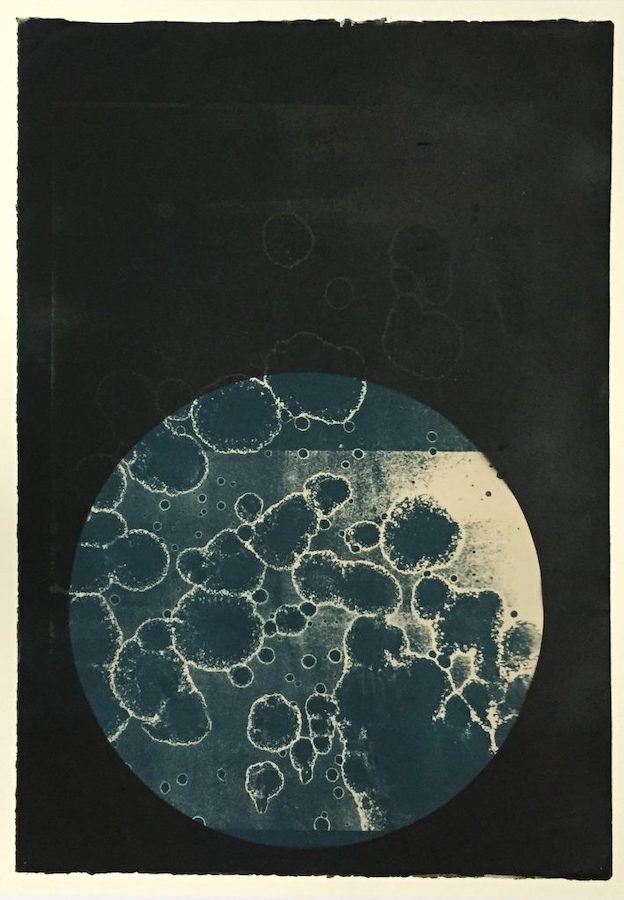 Hehir & Noonan, Worlds Within Worlds 2, 2018, cyanotype, 56 x 76 cm | Beyond Survival | Friday 30 July  – Friday 27 August 2021 | Studio 12